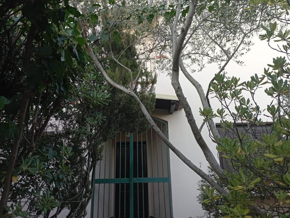 Domus Garden Bed & Breakfast Olbia Luaran gambar