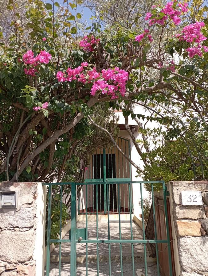 Domus Garden Bed & Breakfast Olbia Luaran gambar