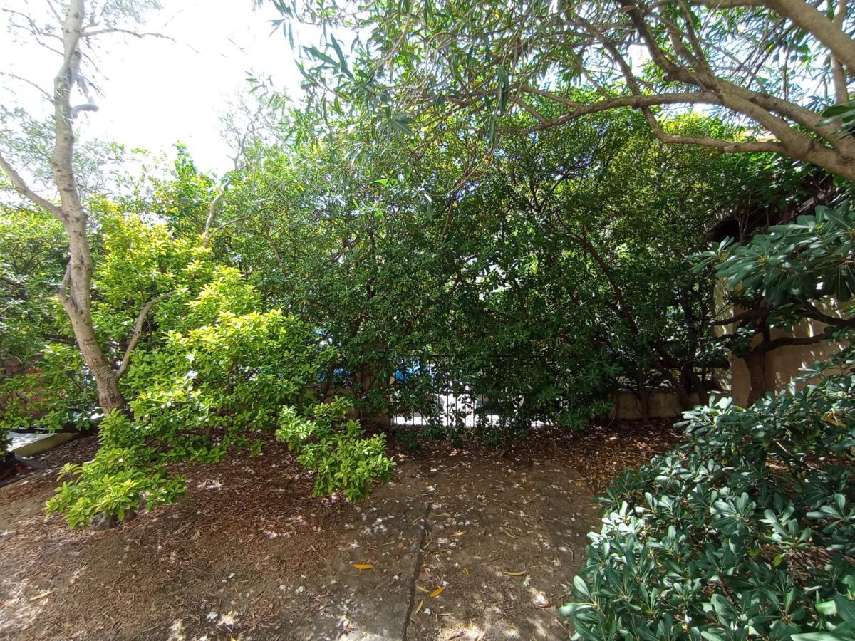 Domus Garden Bed & Breakfast Olbia Luaran gambar